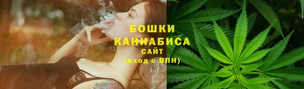 PSILOCYBIN Лихославль