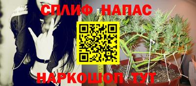 прущие крисы Берёзовский