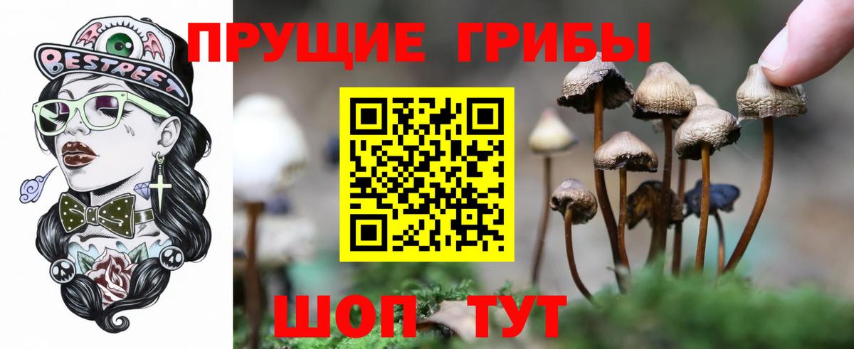Галлюциногенные грибы Cubensis Мариинск